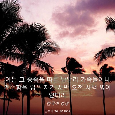 Picture 03 - 민수기 26:50 KOR - 이는 그 종족을 따른 납달리 - Bible Verse Picture