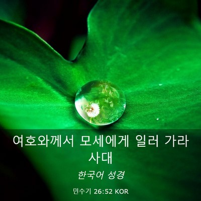 Picture 03 - 민수기 26:52 KOR - 여호와께서 모세에게 일러 - Bible Verse Picture