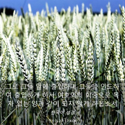Picture 03 - 민수기 27:17 KOR - 그로 그들 앞에 출입하며 그들을 - Bible Verse Picture