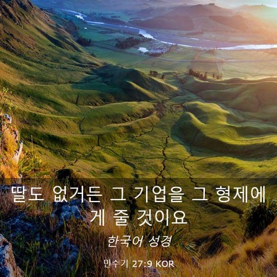 Picture 03 - 민수기 27:9 KOR - 딸도 없거든 그 기업을 그 형제에게 - Bible Verse Picture