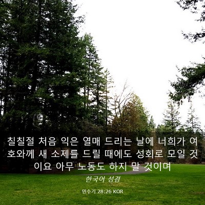 Picture 03 - 민수기 28:26 KOR - 칠칠절 처음 익은 열매 드리는 날에 - Bible Verse Picture