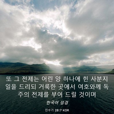Picture 03 - 민수기 28:7 KOR - 또 그 전제는 어린 양 하나에 힌 - Bible Verse Picture