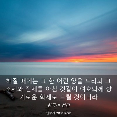 Picture 03 - 민수기 28:8 KOR - 해질 때에는 그 한 어린 양을 드리되 - Bible Verse Picture