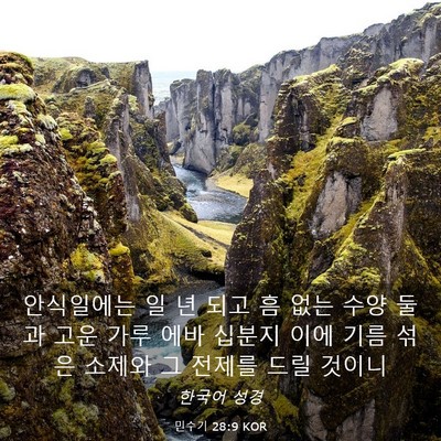 Picture 03 - 민수기 28:9 KOR - 안식일에는 일 년 되고 흠 없는 수양 - Bible Verse Picture