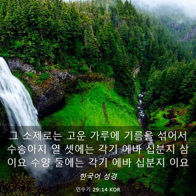 Picture 03 - 민수기 29:14 KOR - 그 소제로는 고운 가루에 기름을 - Bible Verse Picture
