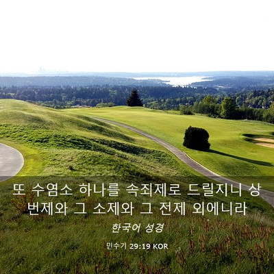 Picture 03 - 민수기 29:19 KOR - 또 수염소 하나를 속죄제로 드릴지니 - Bible Verse Picture