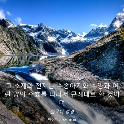 Picture 03 - 민수기 29:21 KOR - 그 소제와 전제는 수송아지와 수양과 - Bible Verse Picture