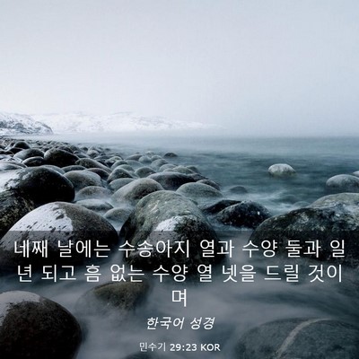 Picture 03 - 민수기 29:23 KOR - 네째 날에는 수송아지 열과 수양 - Bible Verse Picture