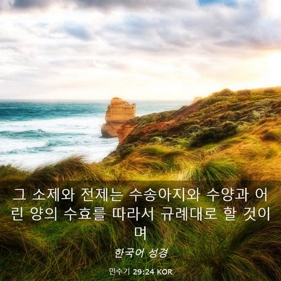 Picture 03 - 민수기 29:24 KOR - 그 소제와 전제는 수송아지와 수양과 - Bible Verse Picture