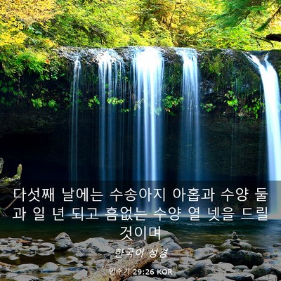 Picture 03 - 민수기 29:26 KOR - 다섯째 날에는 수송아지 아홉과 수양 - Bible Verse Picture