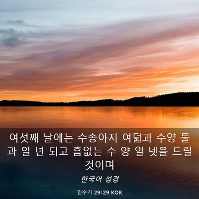 Picture 03 - 민수기 29:29 KOR - 여섯째 날에는 수송아지 여덟과 수양 - Bible Verse Picture