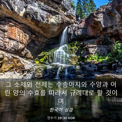 Picture 03 - 민수기 29:30 KOR - 그 소제와 전제는 수송아지와 수양과 - Bible Verse Picture