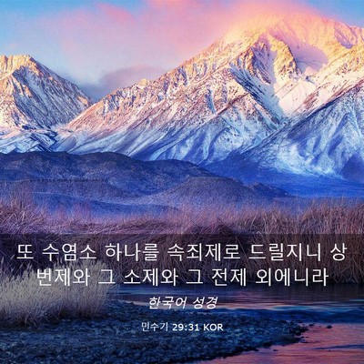 Picture 03 - 민수기 29:31 KOR - 또 수염소 하나를 속죄제로 드릴지니 - Bible Verse Picture