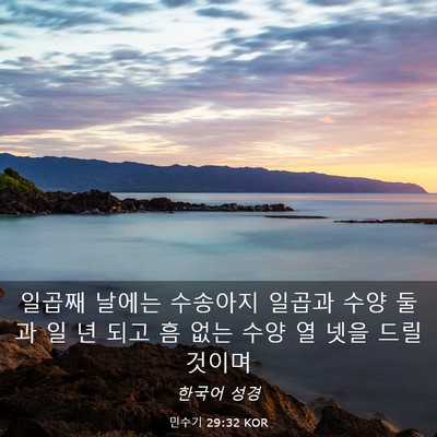 Picture 03 - 민수기 29:32 KOR - 일곱째 날에는 수송아지 일곱과 수양 - Bible Verse Picture