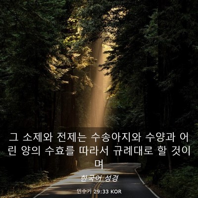 Picture 03 - 민수기 29:33 KOR - 그 소제와 전제는 수송아지와 수양과 - Bible Verse Picture