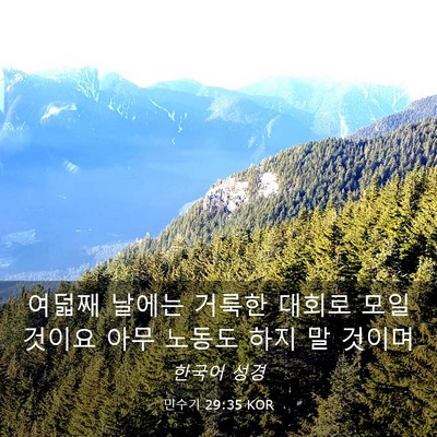 Picture 03 - 민수기 29:35 KOR - 여덟째 날에는 거룩한 대회로 모일 - Bible Verse Picture