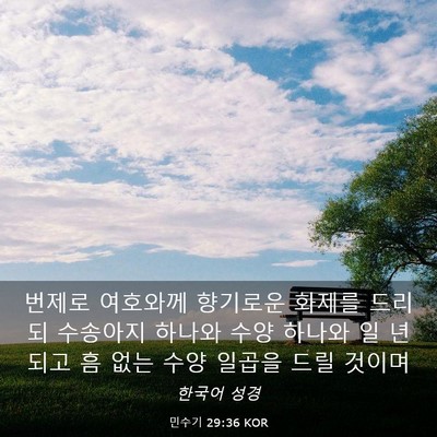 Picture 03 - 민수기 29:36 KOR - 번제로 여호와께 향기로운 화제를 - Bible Verse Picture