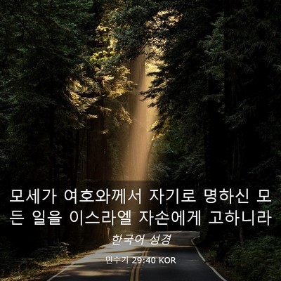 Picture 03 - 민수기 29:40 KOR - 모세가 여호와께서 자기로 명하신 - Bible Verse Picture