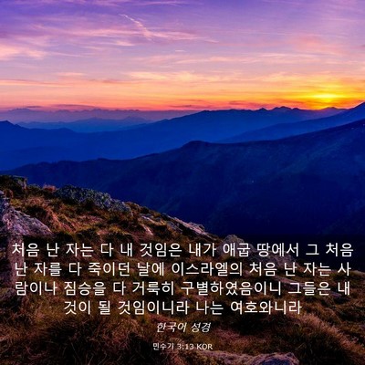 Picture 03 - 민수기 3:13 KOR - 처음 난 자는 다 내 것임은 내가 애굽 - Bible Verse Picture
