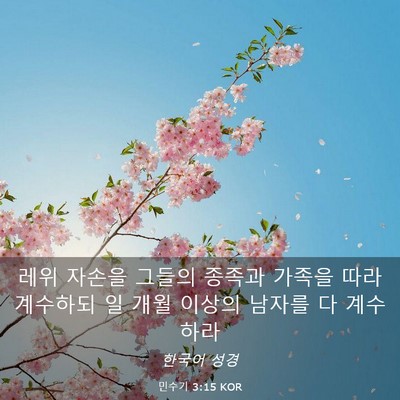 Picture 03 - 민수기 3:15 KOR - 레위 자손을 그들의 종족과 가족을 - Bible Verse Picture