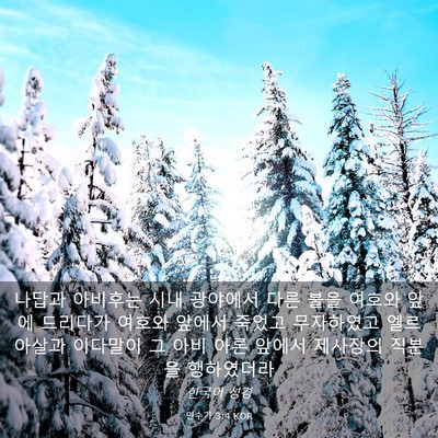Picture 03 - 민수기 3:4 KOR - 나답과 아비후는 시내 광야에서 다른 - Bible Verse Picture