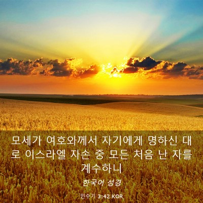 Picture 03 - 민수기 3:42 KOR - 모세가 여호와께서 자기에게 명하신 - Bible Verse Picture