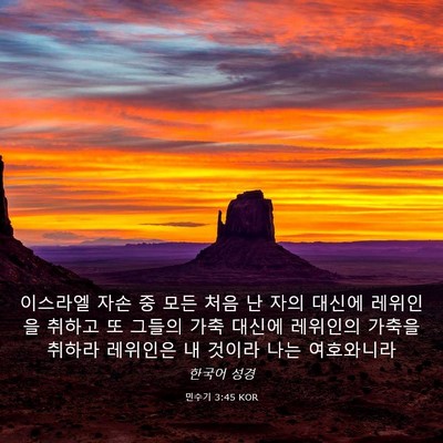 Picture 03 - 민수기 3:45 KOR - 이스라엘 자손 중 모든 처음 난 자의 - Bible Verse Picture