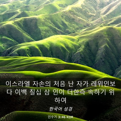 Picture 03 - 민수기 3:46 KOR - 이스라엘 자손의 처음 난 자가 - Bible Verse Picture