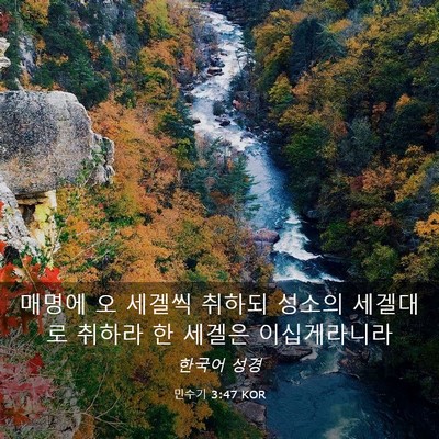 Picture 03 - 민수기 3:47 KOR - 매명에 오 세겔씩 취하되 성소의 - Bible Verse Picture
