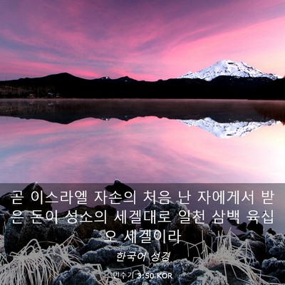 Picture 03 - 민수기 3:50 KOR - 곧 이스라엘 자손의 처음 난 - Bible Verse Picture