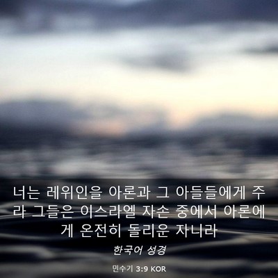 Picture 03 - 민수기 3:9 KOR - 너는 레위인을 아론과 그 아들들에게 - Bible Verse Picture