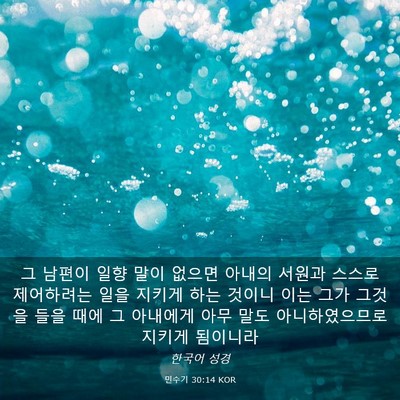 Picture 03 - 민수기 30:14 KOR - 그 남편이 일향 말이 없으면 아내의 - Bible Verse Picture