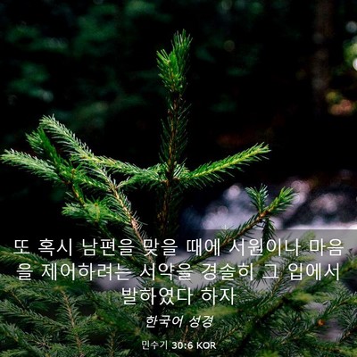 Picture 03 - 민수기 30:6 KOR - 또 혹시 남편을 맞을 때에 서원이나 - Bible Verse Picture