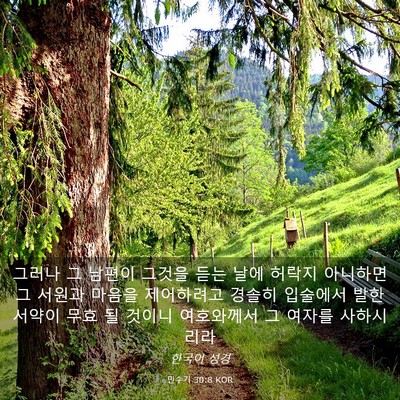 Picture 03 - 민수기 30:8 KOR - 그러나 그 남편이 그것을 듣는 날에 - Bible Verse Picture