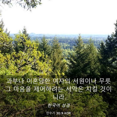 Picture 03 - 민수기 30:9 KOR - 과부나 이혼당한 여자의 서원이나 - Bible Verse Picture