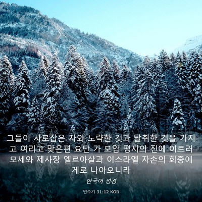 Picture 03 - 민수기 31:12 KOR - 그들이 사로잡은 자와 노략한 것과 - Bible Verse Picture