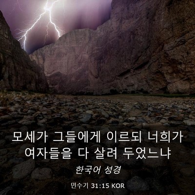 Picture 03 - 민수기 31:15 KOR - 모세가 그들에게 이르되 너희가 - Bible Verse Picture