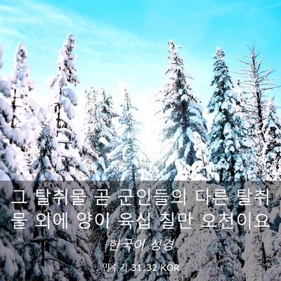 Picture 03 - 민수기 31:32 KOR - 그 탈취물 곧 군인들의 다른 탈취물 - Bible Verse Picture