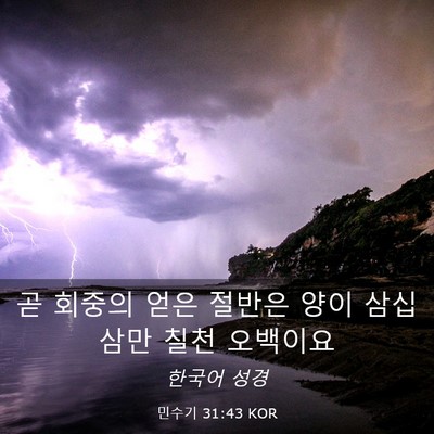Picture 03 - 민수기 31:43 KOR - 곧 회중의 얻은 절반은 양이 삼십 - Bible Verse Picture