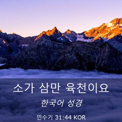 Picture 03 - 민수기 31:44 KOR - 소가 삼만 - Bible Verse Picture