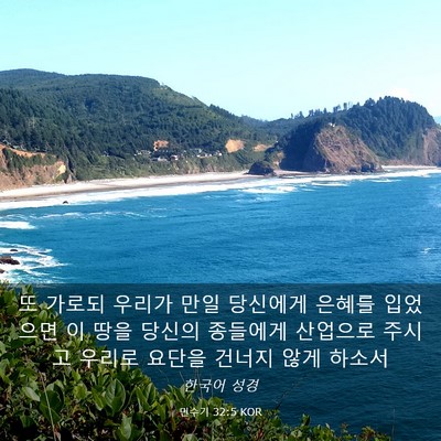 Picture 03 - 민수기 32:5 KOR - 또 가로되 우리가 만일 당신에게 - Bible Verse Picture
