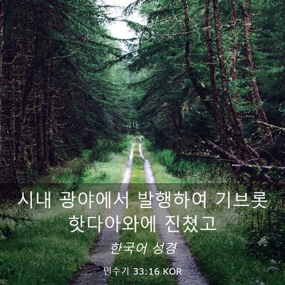 Picture 03 - 민수기 33:16 KOR - 시내 광야에서 발행하여 - Bible Verse Picture