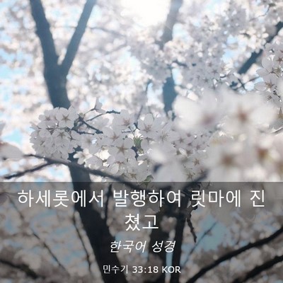Picture 03 - 민수기 33:18 KOR - 하세롯에서 발행하여 릿마에 - Bible Verse Picture