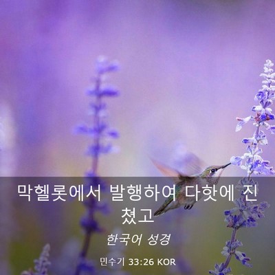 Picture 03 - 민수기 33:26 KOR - 막헬롯에서 발행하여 다핫에 - Bible Verse Picture