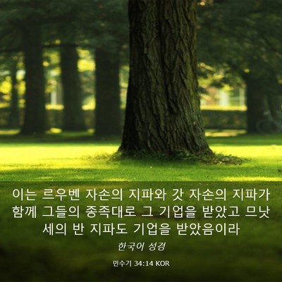 Picture 03 - 민수기 34:14 KOR - 이는 르우벤 자손의 지파와 갓 - Bible Verse Picture