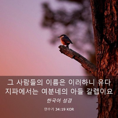 Picture 03 - 민수기 34:19 KOR - 그 사람들의 이름은 이러하니 유다 - Bible Verse Picture