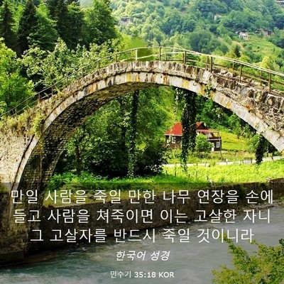 Picture 03 - 민수기 35:18 KOR - 만일 사람을 죽일 만한 나무 연장을 - Bible Verse Picture