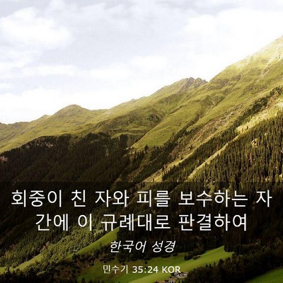 Picture 03 - 민수기 35:24 KOR - 회중이 친 자와 피를 보수하는 자 - Bible Verse Picture