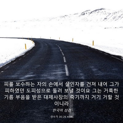 Picture 03 - 민수기 35:25 KOR - 피를 보수하는 자의 손에서 살인자를 - Bible Verse Picture