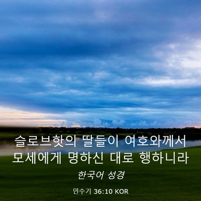 Picture 03 - 민수기 36:10 KOR - 슬로브핫의 딸들이 여호와께서 - Bible Verse Picture